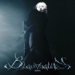 Обкладинка K Lu - Black Vitality