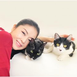 Обкладинка Ayako Fuji - Omoide Zukuri