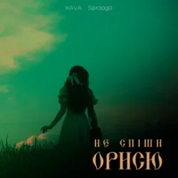 Обкладинка KAVA & Spraaga - Не спіши Орисю