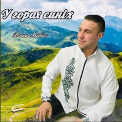 Обкладинка ВАНЯ ЛАБАЧ - У ГОРАХ СИНІХ (ВАТРА)