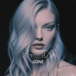 Обкладинка Amir DJ - Go Away