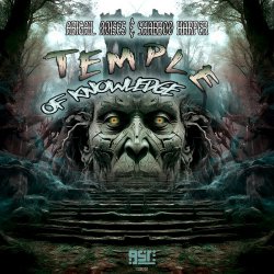 Обкладинка Abigail Noises x Shabboo Harper - Temple Of Knowledge