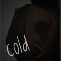 Обкладинка Dos Ton - Cold