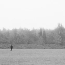Обкладинка EKKSTACY - i walk this earth all by myself