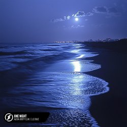 Обкладинка Alosa, Booty Leak, Elle Blue - One Night