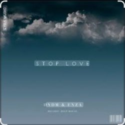 Обкладинка DNDM feat. ENZA - Stop Love