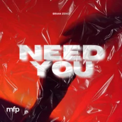 Обкладинка Brian Zeno - Need You