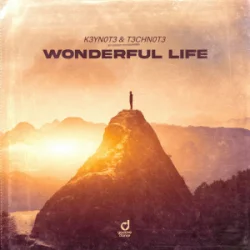 Обкладинка K3YN0T3 & T3CHN0T3 - Wonderful Life