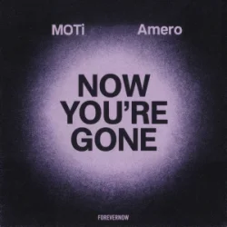 Обкладинка MOTi & Amero - Now You're Gone