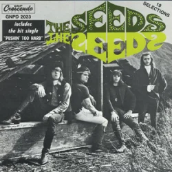 Обкладинка The Seeds - Can't Seem To Make You Mine