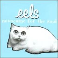 Обкладинка Eels - Novocaine For the Soul