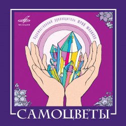 Обкладинка ВИА САМОЦВЕТЫ - По морозу, по зиме
