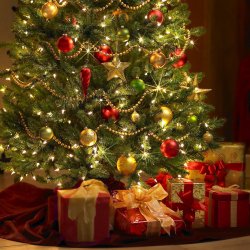 Обкладинка Acting Lovers - Under the christmas tree