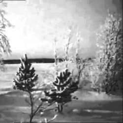 Обкладинка Валентина Дворянинова - Песенка про зиму
