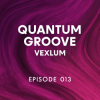 Обкладинка Vexlum - Quantum Groove 013 Vexlum - Quantum Groove 013