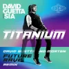 Обкладинка David Guetta & Sia - Titanium (MORTEN Future Rave Remix) David Guetta & Sia - Titanium (MORTEN Future Rave Remix)