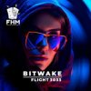 Обкладинка Bitwake - Flight 3033 Bitwake - Flight 3033