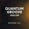 Обкладинка Vexlum - Quantum Groove 014 Vexlum - Quantum Groove 014