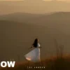 Обкладинка The Shadow - The lesson of love The Shadow - The lesson of love