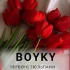 Обкладинка Бойки - Червоні тюльпани Бойки - Червоні тюльпани