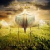 Cover DJ Bim And Solar Walker - Next Level DJ Bim And Solar Walker - Next Level