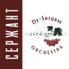 Cover De-Shturm оrchestra - Ми ДШВ De-Shturm оrchestra - Ми ДШВ