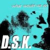 Обкладинка DSK - What Would We Do (Original Mix) DSK - What Would We Do (Original Mix)