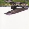 Обкладинка DJ Sakin & Friends - Protect Your Mind (Braveheart) (Vocal Radio Mix) DJ Sakin & Friends - Protect Your Mind (Braveheart) (Vocal Radio Mix)