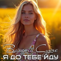 Обкладинка Валерій Судче - Я до тебе йду