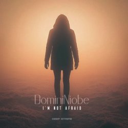Обкладинка Lenox Deep - Where the Light Goes Dim (Radio Edit)