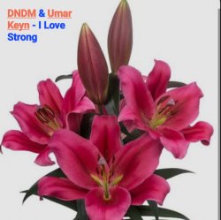 Обкладинка DNDM & Umar Keyn - I Love Strong