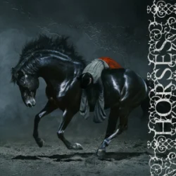 Обкладинка Winona Oak - Horses
