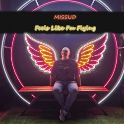 Обкладинка Missud - What Are You Waiting For