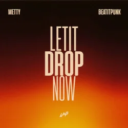 Обкладинка Metty & BeatItPunk - Let It Drop Now