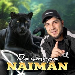 Обкладинка NAIMAN - Пантера