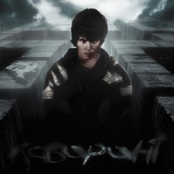 Обкладинка Dubinin - Лабиринт
