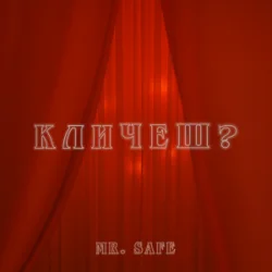 Обкладинка Mr. Safe - Кличеш?