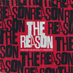 Обкладинка Steve Aoki & Sound Rush & Hoobastank - The Reason