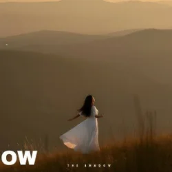 Обкладинка The Shadow - The lesson of love