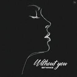 Обкладинка Bitwake - Without You