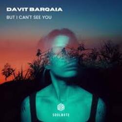 Обкладинка Davit Barqaia - But I Can t See You