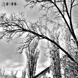 Cover я не могу её узнать