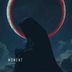 Обкладинка Ziggan - Moment
