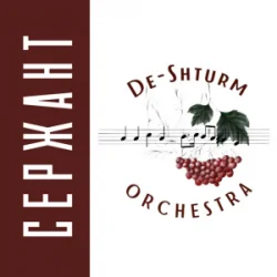 Обкладинка De-Shturm оrchestra - Ми ДШВ