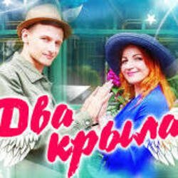 Обкладинка Два крила - Пісня