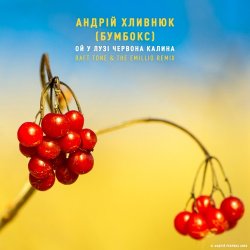 Обкладинка Бумбокс - Ой У Лузі Червона Калина