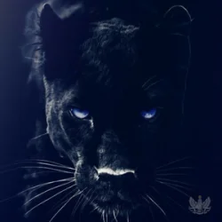 Обкладинка Adam Jamar - Black Panther