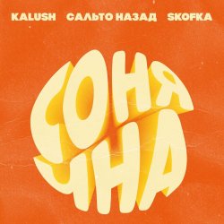 Обкладинка KALUSH, Сальто Назад, Skofka - Сонячна
