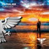 Обкладинка DJ Phalanx - Sunstate DJ Phalanx - Sunstate