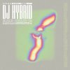 Обкладинка DJ Hybrid - Gone DJ Hybrid - Gone